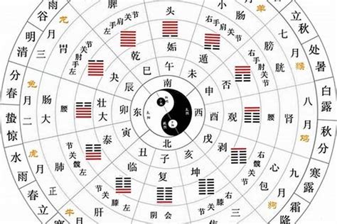 五行十干|天干地支五行对照表